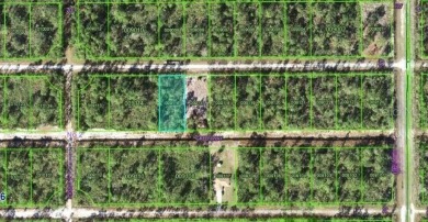 Welcome to Lake Estates - Florida's Hidden Gem.
Build your - photo 4