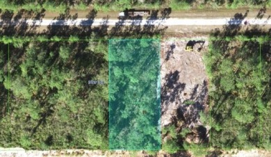 Welcome to Lake Estates - Florida's Hidden Gem.
Build your - photo 5