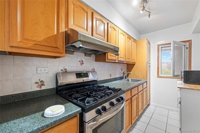 Immaculate and spacious 800 SF Junior 4 co-op residence in the - photo 3
