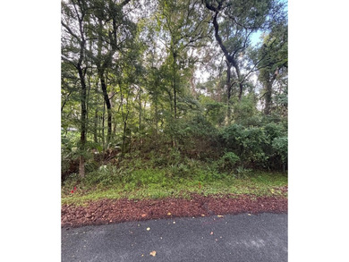 Suwannee River Lot For Sale in Old Town Florida