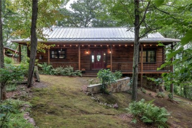 Lake Home For Sale in Chetek, Wisconsin