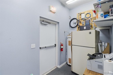 Versatile Office Space in the Heart of Lake Panasoffkee. This 1 - photo 18