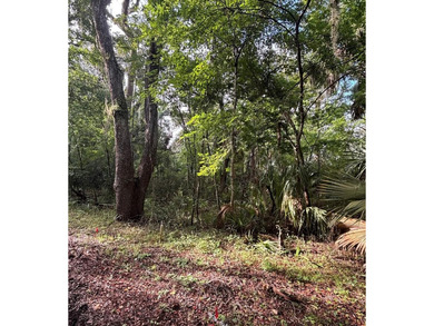 Suwannee River Lot For Sale in Old Town Florida