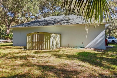 Versatile Office Space in the Heart of Lake Panasoffkee. This 1 - photo 23