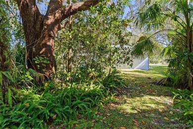 Versatile Office Space in the Heart of Lake Panasoffkee. This 1 - photo 28