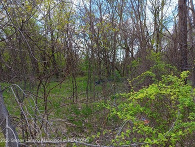 Best Lot in Jackson County. Best deal too! Great area, nice - photo 1