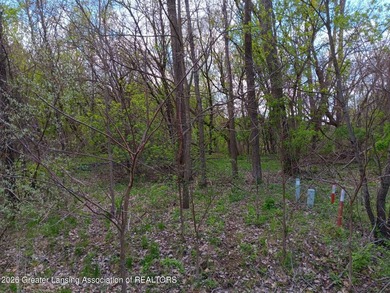Best Lot in Jackson County. Best deal too! Great area, nice - photo 2