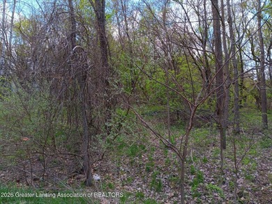 Best Lot in Jackson County. Best deal too! Great area, nice - photo 4