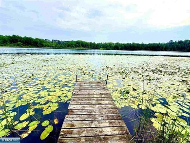 Stunning Big MaCarthy lakefront home located just north of - photo 31