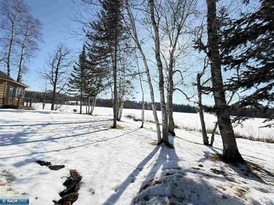 Stunning Big MaCarthy lakefront home located just north of - photo 41