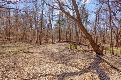 Rare opportunity to purchase one of the most diverse properties - photo 6