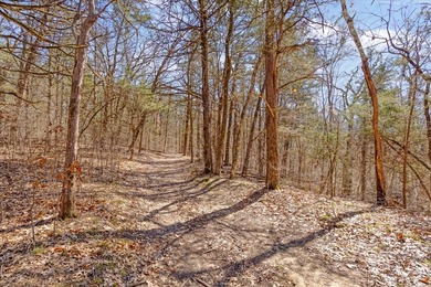 Rare opportunity to purchase one of the most diverse properties - photo 9