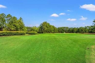 Welcome to this beautifully customized ranch style home located - photo 35
