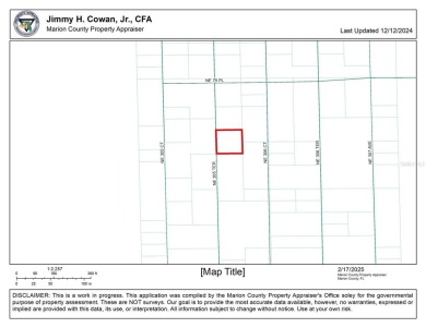 Lake Lot For Sale in Fort Mccoy, Florida