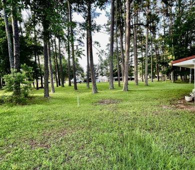 Lakehouse Retreat Nestled in the Pines!! - photo 5
