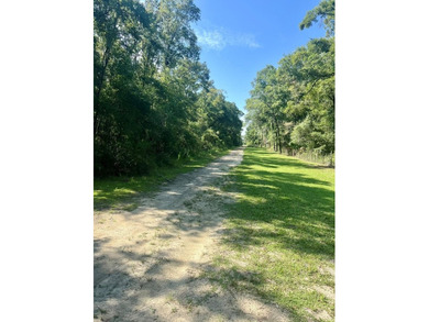 Suwannee River Acreage For Sale in Old Town Florida