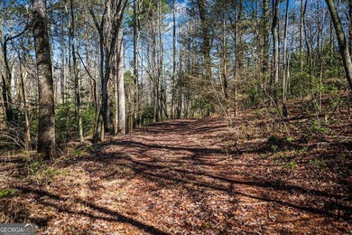 Discover this stunning 0.87-acre Lake Nottely lot, perfectly - photo 3