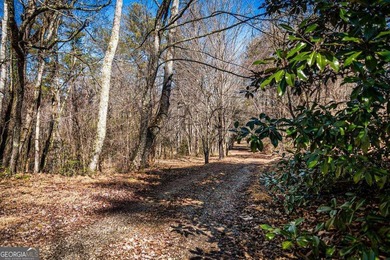 Discover this stunning 0.87-acre Lake Nottely lot, perfectly - photo 4