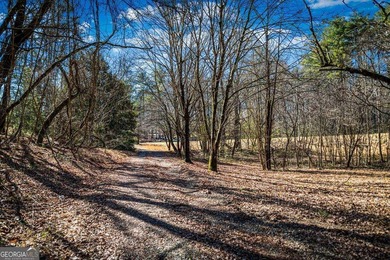 Discover this stunning 0.87-acre Lake Nottely lot, perfectly - photo 5