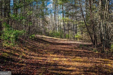 Discover this stunning 0.87-acre Lake Nottely lot, perfectly - photo 7