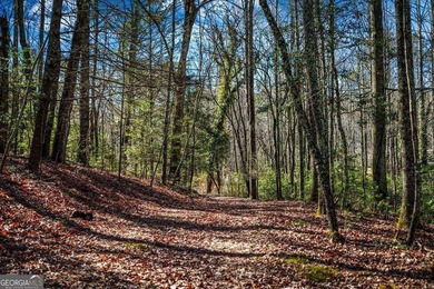 Discover this stunning 0.87-acre Lake Nottely lot, perfectly - photo 8