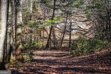 Discover this stunning 0.87-acre Lake Nottely lot, perfectly - photo 9