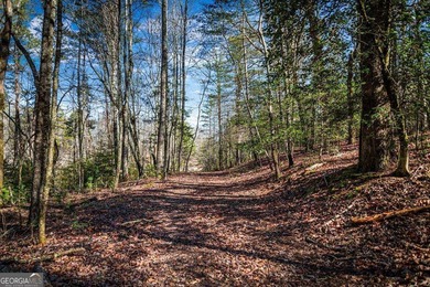 Discover this stunning 0.87-acre Lake Nottely lot, perfectly - photo 10