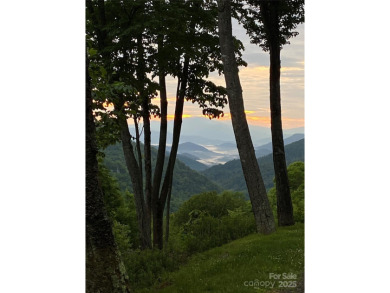 Mars Hill Reservoir Acreage For Sale in Mars Hill North Carolina