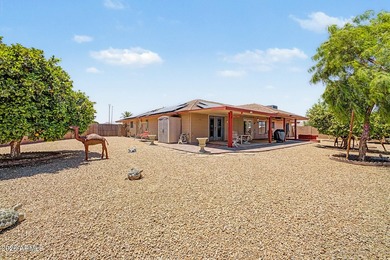Rare find! Popular remodeled Castillo model in Sun City -- split - photo 31