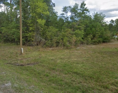 Lake George Lot For Sale in Georgetown Florida