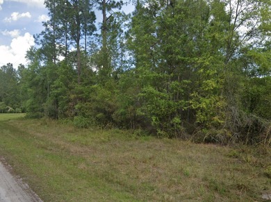 Lake George Lot For Sale in Georgetown Florida