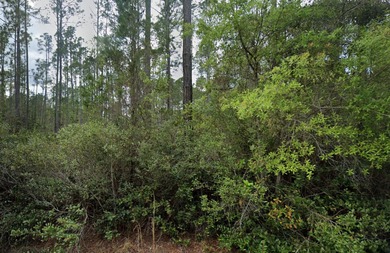 Lake George Lot For Sale in Georgetown Florida