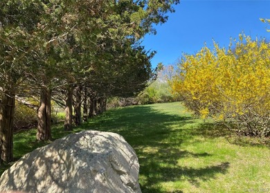 A Rare Opportunity!!! This incredible property boasts 1.75 - photo 3