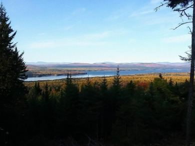 Lake Acreage For Sale in Rangeley Plt, Maine