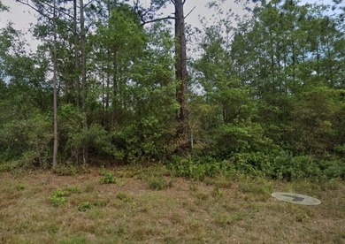Lake George Lot For Sale in Georgetown Florida