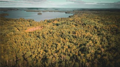 Lake Vermilion Acreage For Sale in Beatty Twp Minnesota