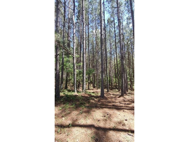 Welcome to Broad River Highlands in Mooresboro! This large lot - photo 11
