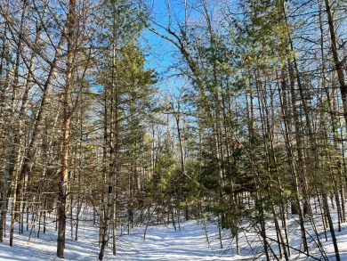 Property with Lake Access Lot SOLD - Lake Lot SOLD! in Saint Germain, Wisconsin