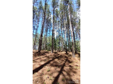 Welcome to Broad River Highlands in Mooresboro! This large lot - photo 12