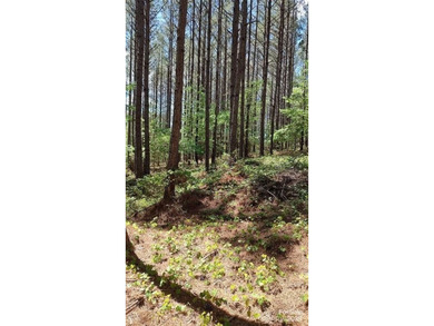 Welcome to Broad River Highlands in Mooresboro! This large lot - photo 13