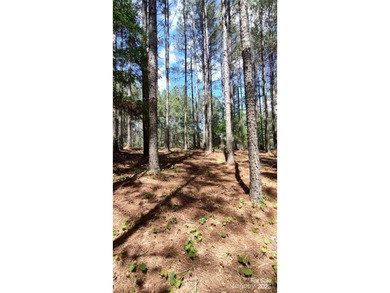 Welcome to Broad River Highlands in Mooresboro! This large lot - photo 14