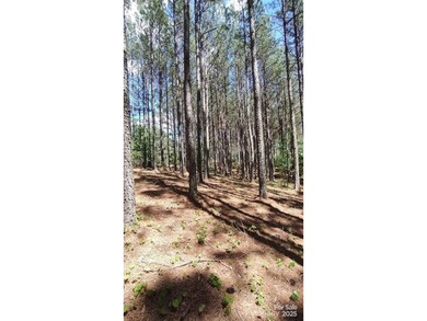 Welcome to Broad River Highlands in Mooresboro! This large lot - photo 15
