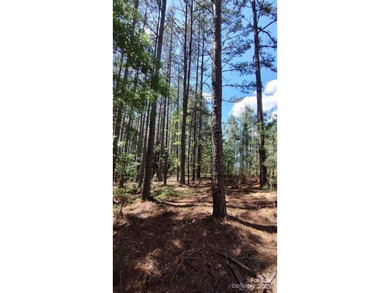 Welcome to Broad River Highlands in Mooresboro! This large lot - photo 16