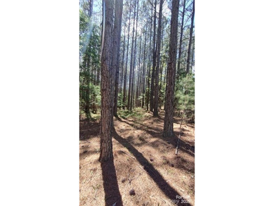 Welcome to Broad River Highlands in Mooresboro! This large lot - photo 18