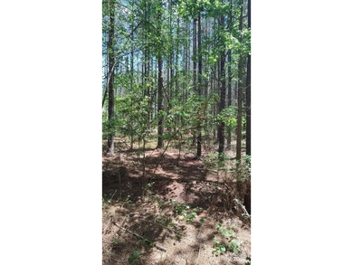 Welcome to Broad River Highlands in Mooresboro! This large lot - photo 19