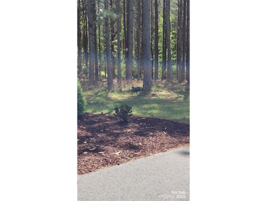 Welcome to Broad River Highlands in Mooresboro! This large lot - photo 20