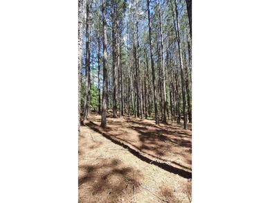 Welcome to Broad River Highlands in Mooresboro! This large lot - photo 21