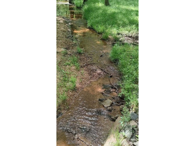 Welcome to Broad River Highlands in Mooresboro! This large lot - photo 25