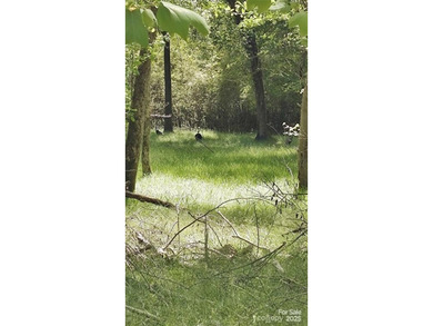 Welcome to Broad River Highlands in Mooresboro! This large lot - photo 26