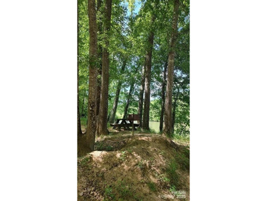 Welcome to Broad River Highlands in Mooresboro! This large lot - photo 29